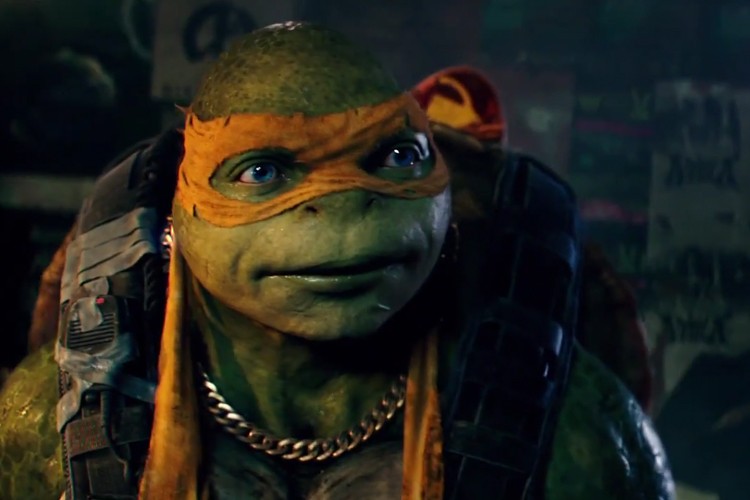 Michaelangelo, the Teenage Mutant Ninja Turtle